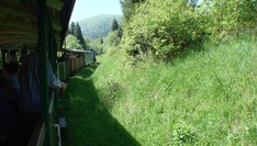 Widok z bieszczadzkiej kolejki leśnej, trasa: Majdan - Cisna - Dołżyca - Krzywe - Przysłup