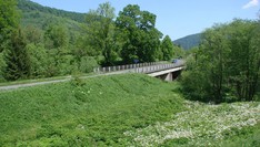 Widok z bieszczadzkiej kolejki leśnej, trasa: Majdan - Cisna - Dołżyca - Krzywe - Przysłup